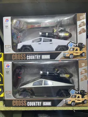 Cross Country Off Road Rc Car