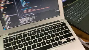 Software Developer