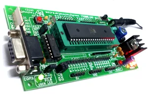 Microcontroller Development Board