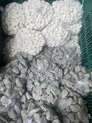 White and Gray Pebbles