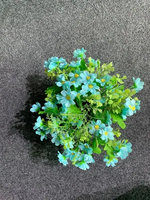 Artificial Blue Daisy Flower Pot - Table Decor