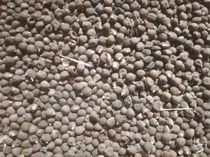 Fresh Okra Seed for Sale