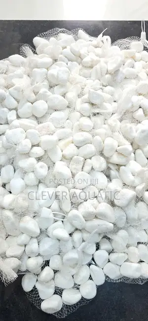 Garden and Landscaping Pebbles