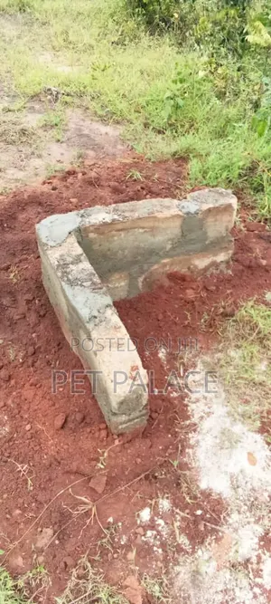 A Plot of Land