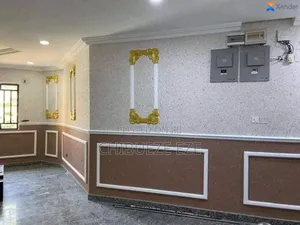 Professional Painting, Pop Ceiling Decorative Finishing.