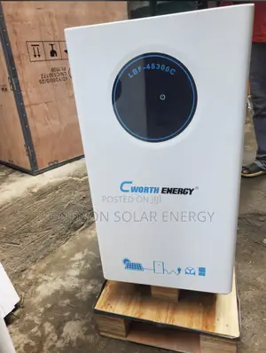 C Worth Energy Lithium Ion Battery
