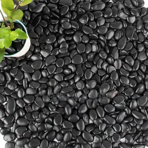 Garden Landscaping Black Pebbles
