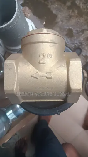 2" Non Returning Valve