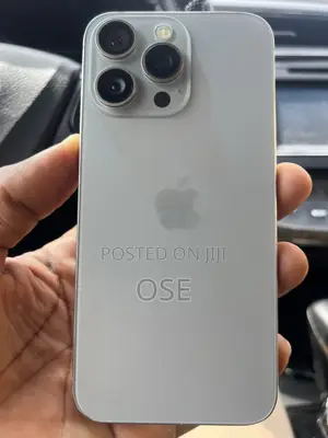 Apple iPhone 15 Pro Max 256 GB Gray