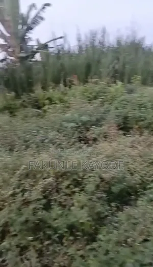 Land For Sale