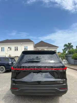 Lexus TX 2024 Black
