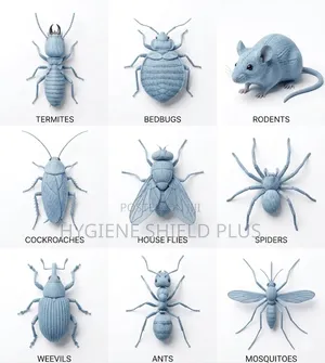 Professional Fumigation Pest Control Services
