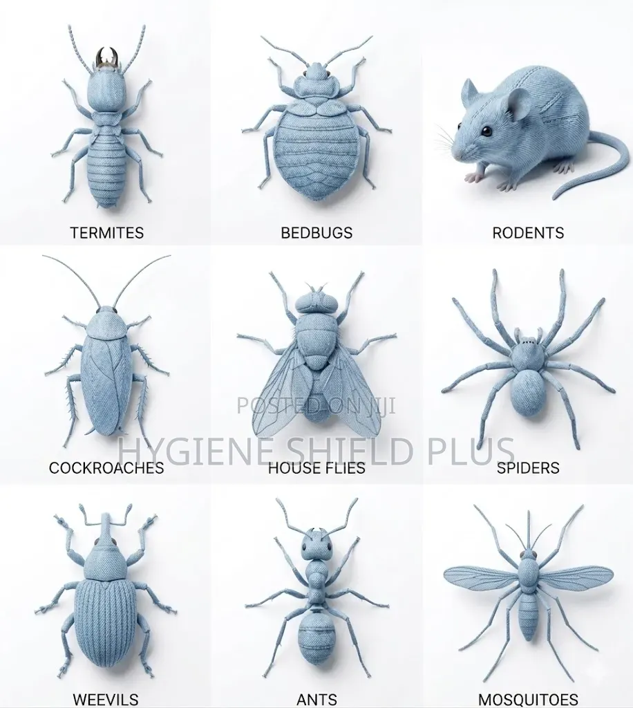 Professional Fumigation Pest Control Services