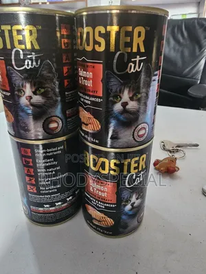 Booster Cat Salmon Trout