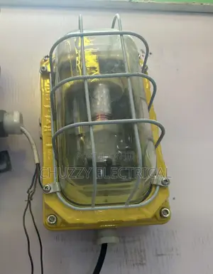 Explosion-Proof Bulkhead Light