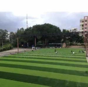 Grass Carpet Rug the Best for Garden, Field, Pitch, Anywhere
