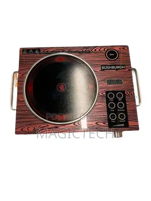 Bushburgh Single Burner Electric Cooker (3500w)
