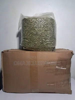 Premium Quality Pumpkin Seeds 25kg.
