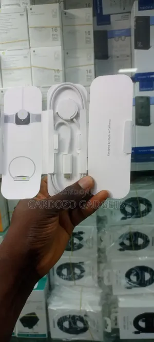 Type I Watch Charger