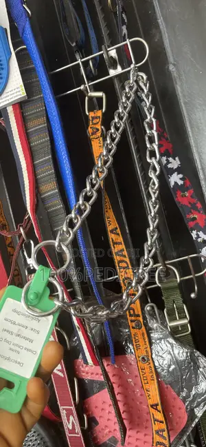 Collar Choke Chain
