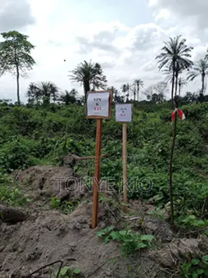 Premium Dry Land for Sale at Boing Mega City Phase-1, Igwuruta-Ali Ph