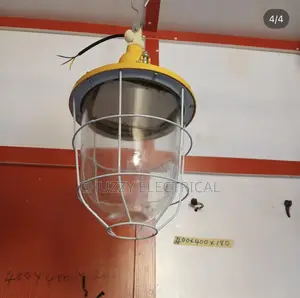 Atex Ex-Proof Pendant Light