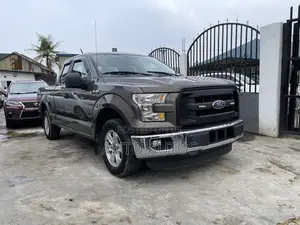 Ford F-150 2015 Gray