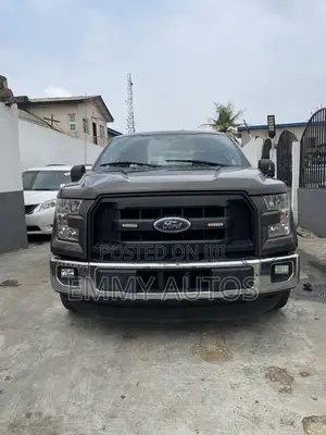 Ford F-150 2015 Gray