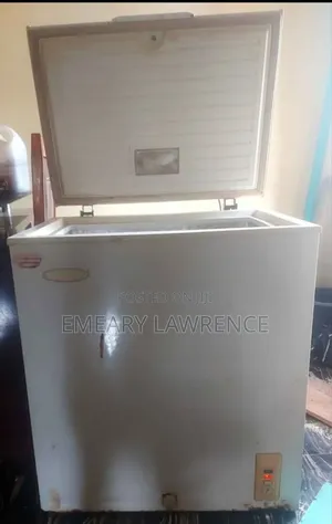 120l Deep Freezer