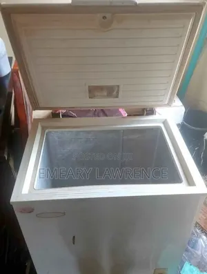 120l Deep Freezer