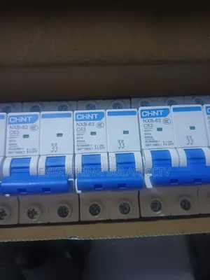 Chint 63a 2p Beeaker