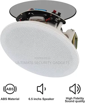 Hi-Fi Frameless Coaxial Ceiling Speaker