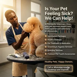 Pet Grooming Professional Dog Grooming