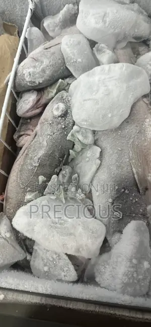 Fresh Fish