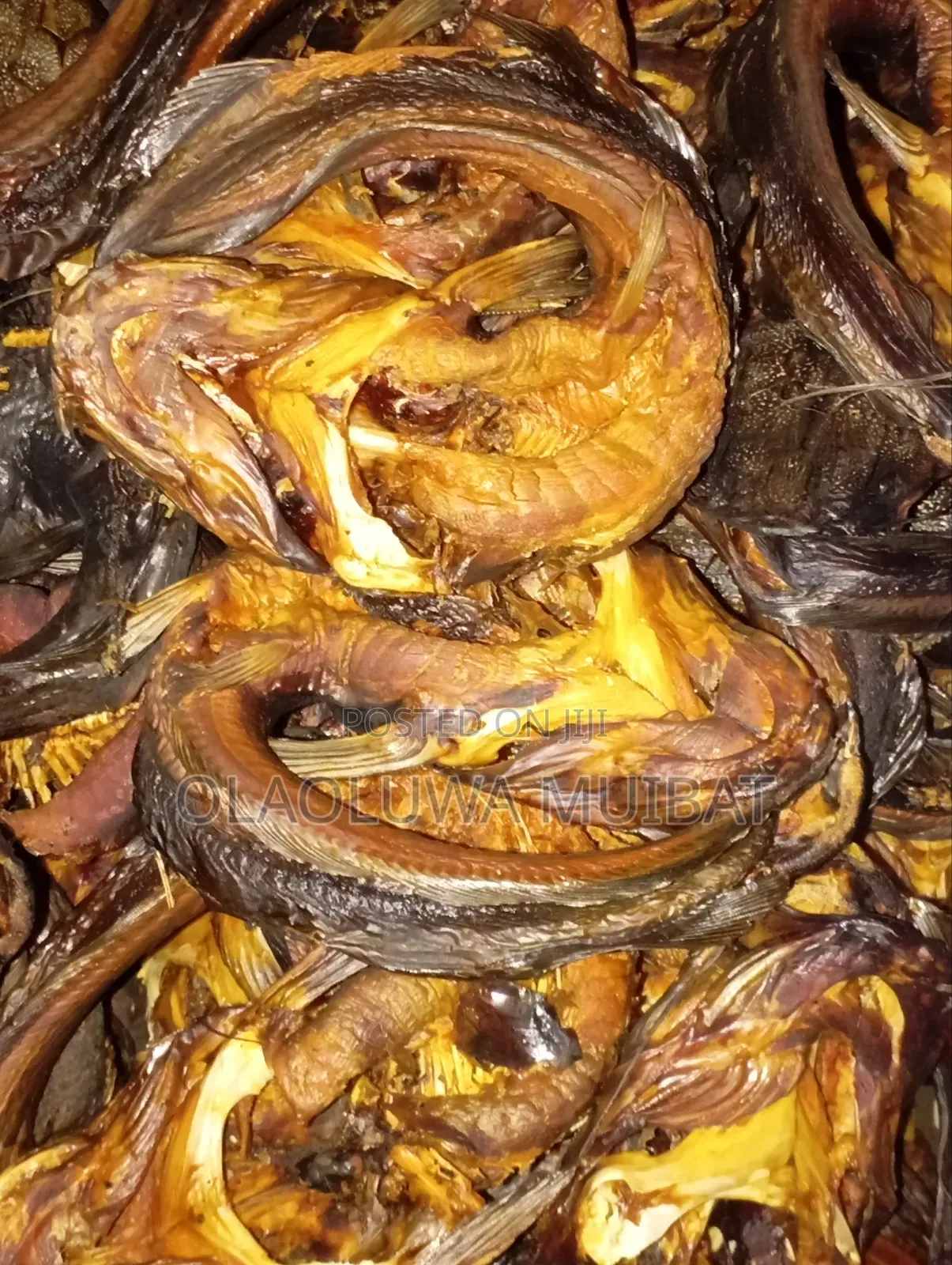 Dried Catfish