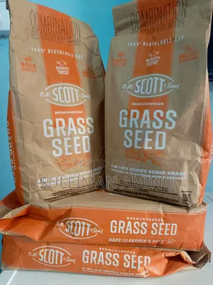 Bermuda Grass Scott
