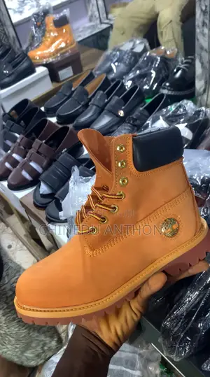 Timberland Shoe