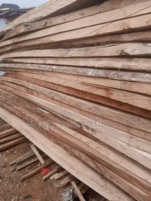 Akun Strong Woods