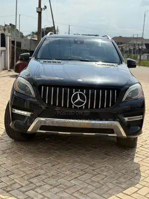 Mercedes-Benz M Class 2013 Gray