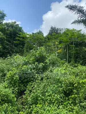 4.5 Acres of Land Available for Sale in Oluyole Ibadan