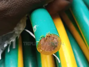 70mm PVC Coleman Single Core Green and Yellow