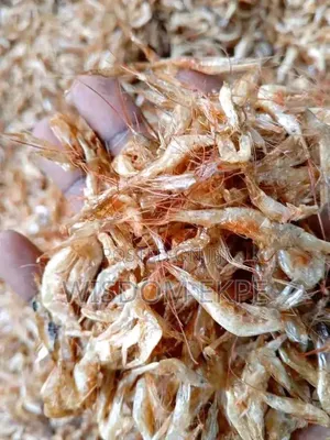 Oron Crayfish