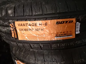 225/65r17 Boto