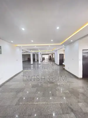 To Let-350sqm,100sqm.-(120sqm-Penthouse)-Old CBN Garki 2