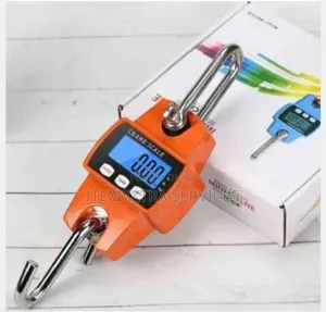 200kg Digital Scale