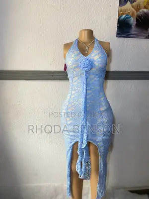 Mesh Bodycon Dress
