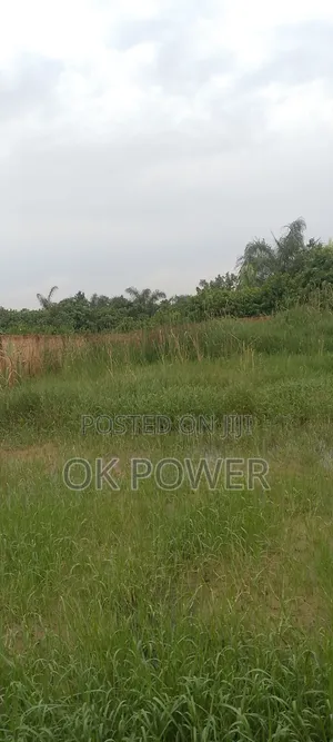 Half Plot of Land With Fence