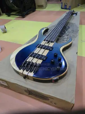Professional Bass Guitar