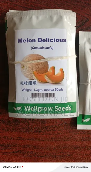 Sweet Melon F1_seeds