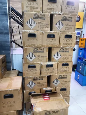 100ah SMS Lithium Battery 12.8v